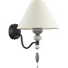 Бра ODEON LIGHT SOCHI 4896/1W