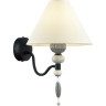 Бра ODEON LIGHT SOCHI 4896/1W