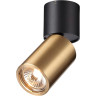 Накладной светильник ODEON LIGHT DUETTA 4280/1C