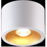 Накладной светильник ODEON LIGHT GLASGOW 6668/1CL