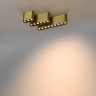 Накладной светильник ODEON LIGHT SMALL 7093/21CL