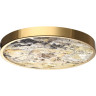 Настенно-потолочный cветильник ODEON LIGHT BERGI 5079/40L