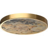 Настенно-потолочный cветильник ODEON LIGHT BERGI 5079/40L