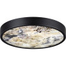 Настенно-потолочный светильник ODEON LIGHT BERGI 5064/24L