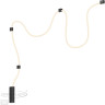 Настенно-потолочный светильник ODEON LIGHT CORDA 4391/30CL