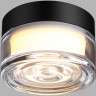 Настенно-потолочный светильник ODEON LIGHT RONDA 7156/6CL