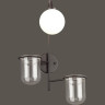 Настенный светильник ODEON LIGHT FLOWER 4681/1W