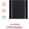 Настенный светильник ODEON LIGHT MAGNUM 7191/2WL