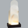 Настольная лампа ODEON LIGHT FOROS HIGHTECH 5438/12TL