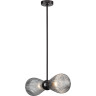 Подвесная люстра ODEON LIGHT ELICA 5417/2