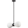 Подвесная люстра ODEON LIGHT ELICA 5418/2