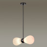Подвесная люстра ODEON LIGHT ELICA 5418/2