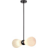 Подвесная люстра ODEON LIGHT ELICA 5418/2