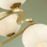 Подвесная люстра ODEON LIGHT WATERLILY 4873/5
