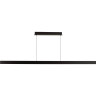 Подвесной светильник ODEON LIGHT BEVEREN 6683/38L