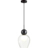 Подвесной светильник ODEON LIGHT BLACKY 5023/1