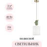 Подвесной светильник ODEON LIGHT CACTUS 5425/1