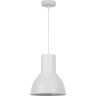 Подвесной светильник ODEON LIGHT PENDANT LASO 3374/1
