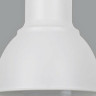 Подвесной светильник ODEON LIGHT PENDANT LASO 3374/1
