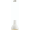 Подвесной светильник ODEON LIGHT PENDANT LASO 3374/1