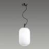 Подвесной светильник ODEON LIGHT PENDANT ROOFI 4751/1