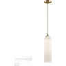 Подвесной светильник ODEON LIGHT PENDANT VOSTI 4642/1
