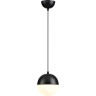 Подвесной светильник ODEON LIGHT PINGA 4958/1