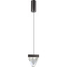 Подвесной светильник ODEON LIGHT RAY 6677/5L