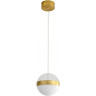 Подвесной светильник ODEON LIGHT RONI 5036/12L