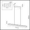 Подвесной светильник ODEON LIGHT SATRION 6641/40L