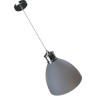 Подвесной светильник ODEON LIGHT VIOLA 3322/1