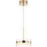 Подвесной светодиодный светильник ODEON LIGHT AKELA 4729/14L