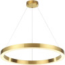 Подвесной светодиодный светильник ODEON LIGHT BRIZZI 3885/45LG