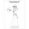 Подвесной светодиодный светильник ODEON LIGHT BRIZZI 4244/25L