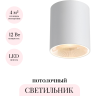 Потолочный светильник ODEON LIGHT BRIM 7139/12CL