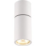 Потолочный светильник ODEON LIGHT DUETTA 3582/1C