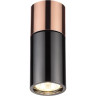 Потолочный светильник ODEON LIGHT DUETTA 3583/1C