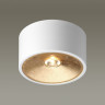 Потолочный светильник ODEON LIGHT GLASGOW 3892/1C