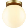 Потолочный светильник ODEON LIGHT HIGHTECH BOSCO 4247/1C