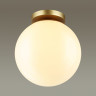Потолочный светильник ODEON LIGHT HIGHTECH BOSCO 4248/1C