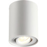 Потолочный светильник ODEON LIGHT HIGHTECH PILLARON 3564/1C