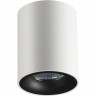 Потолочный светильник ODEON LIGHT HIGHTECH TUBORINO 3569/1C