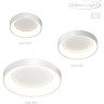 Потолочный светильник ODEON LIGHT L-VISION SOLE 4062/50CL