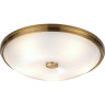 Потолочный светильник ODEON LIGHT PELOW 4956/5