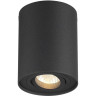 Потолочный светильник ODEON LIGHT PILLARON 3565/1C