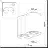 Потолочный светильник ODEON LIGHT PILLARON 3565/2C