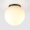Потолочный светильник ODEON LIGHT VIVA 7124/1C