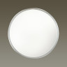 Потолочный светодиодный светильник ODEON LIGHT SELENA 4626/48CL