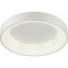 Потолочный светодиодный светильник ODEON LIGHT SOLE 4066/40CL