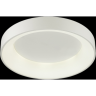 Потолочный светодиодный светильник ODEON LIGHT SOLE 4066/40CL